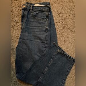 NWT American Eagle Classic Mom Jean